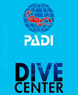 Teide Divers
